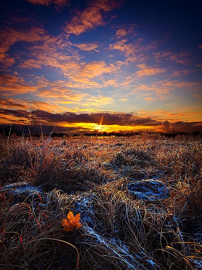First Snow Photograph by Phil Koch