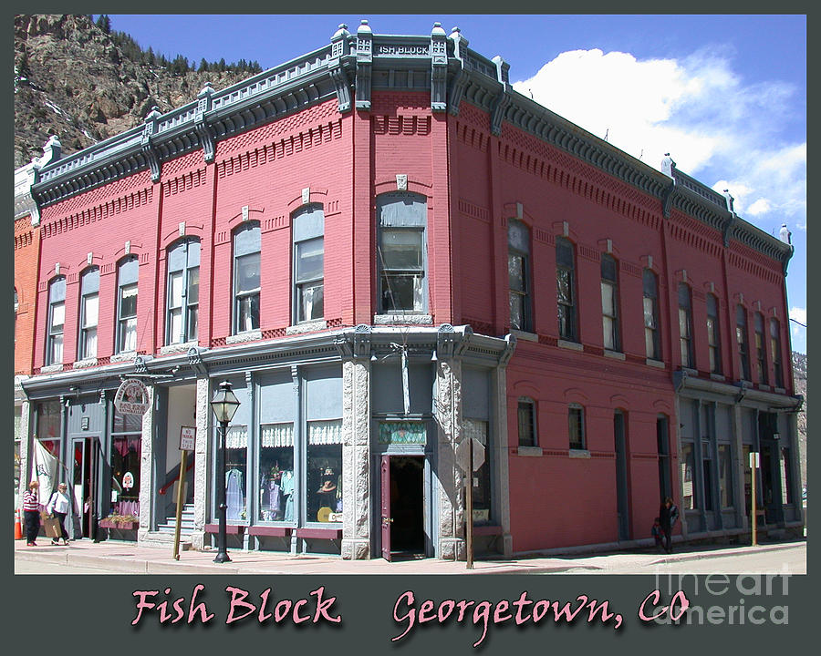 Georgetown Photograph - Fish Block Georgetown Colorado by Tim Mulina