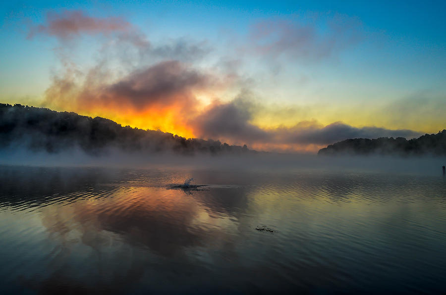 Fish Fog and Fire Photograph by Brian Stevens