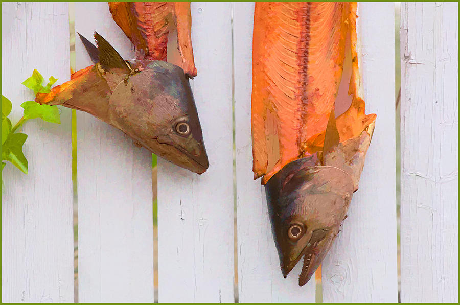 Fish Heads Photograph by Steve Zimic