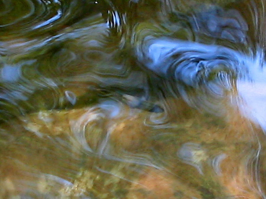 Fish in Rippling Water Photograph by April Patterson - Fine Art America