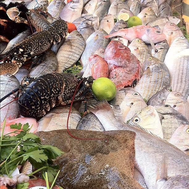 Fish Photograph - #fish #morocco by Soredewa Seitai