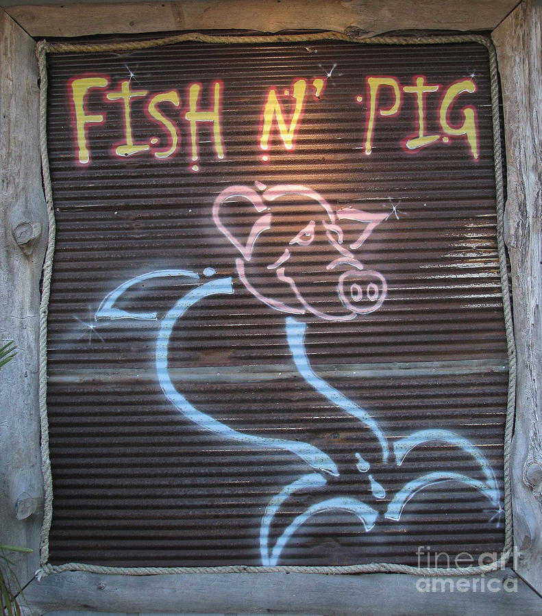 Fish N Pig Photograph by Donna Brown