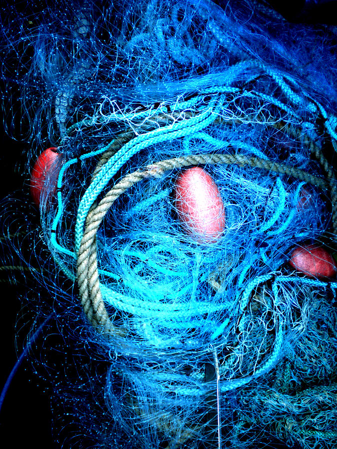 Fish Robe Net   Photograph by Colette V Hera Guggenheim