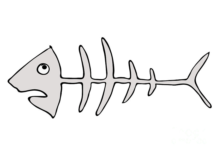 Fish skeleton fishbones Drawing by Michal Boubin
