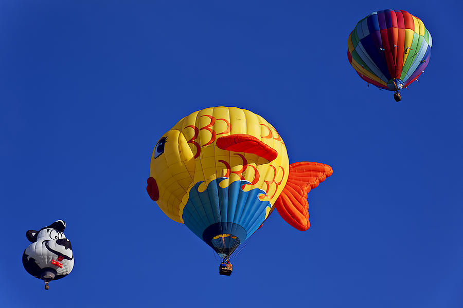 Fish Photograph - Fish skunk balloons by Garry Gay