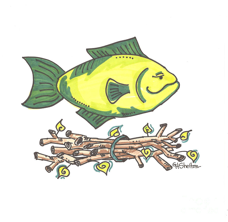 Fish Sticks Drawing by Gail Shelton Pixels