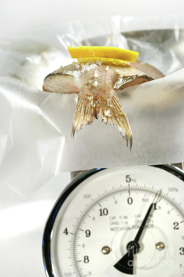 Fish with lemon slice on weight scale Photograph by Sandra Cunningham