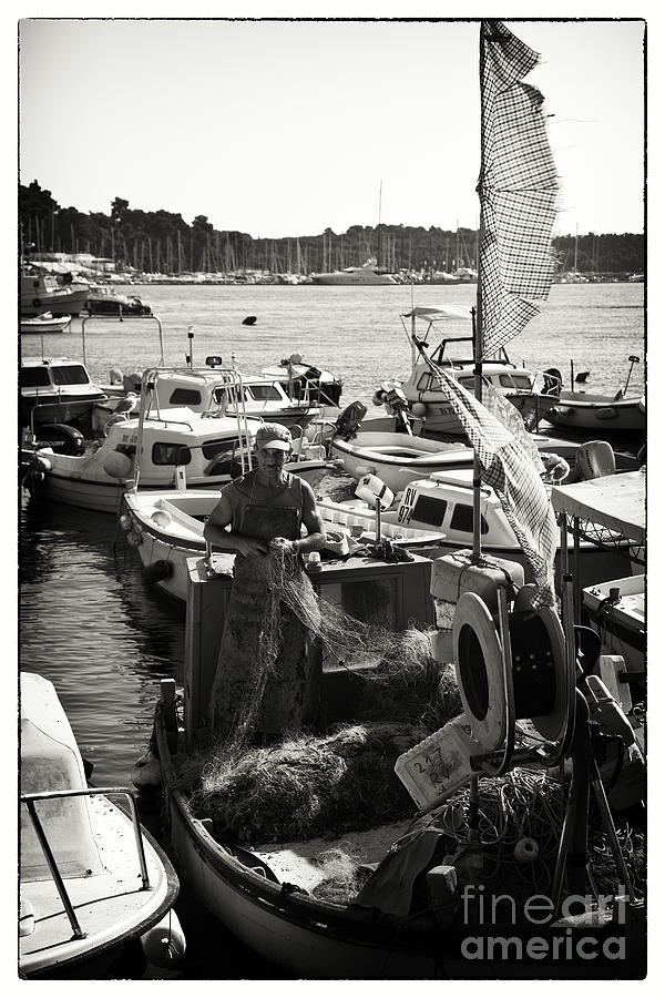 Fisherman Photograph by Madeline Ellis