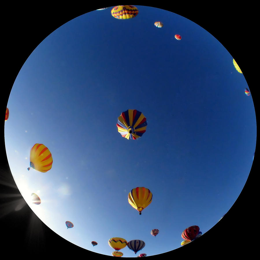 Fisheye Balloons Photograph by Joe Myeress