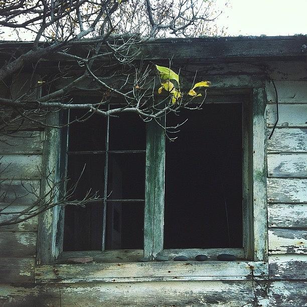 Fall Photograph - #fishhouse #hovland #minnesota #window by Kate W