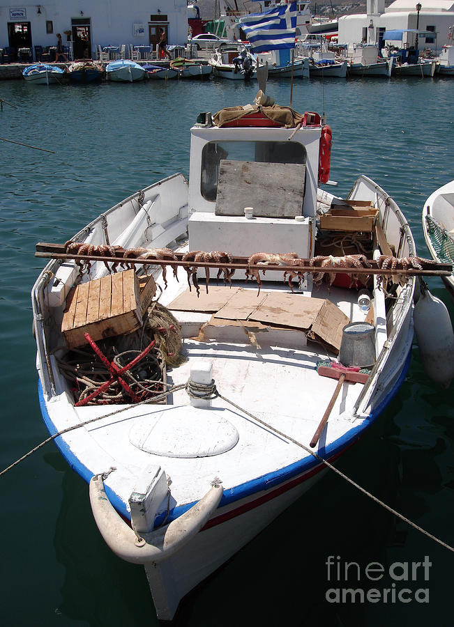 Fishing boat with octopus drying Photograph by Jane Rix