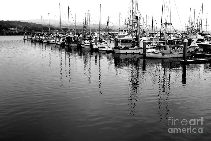 Fishing Boats . 7D8187 Photograph by Wingsdomain Art and Photography