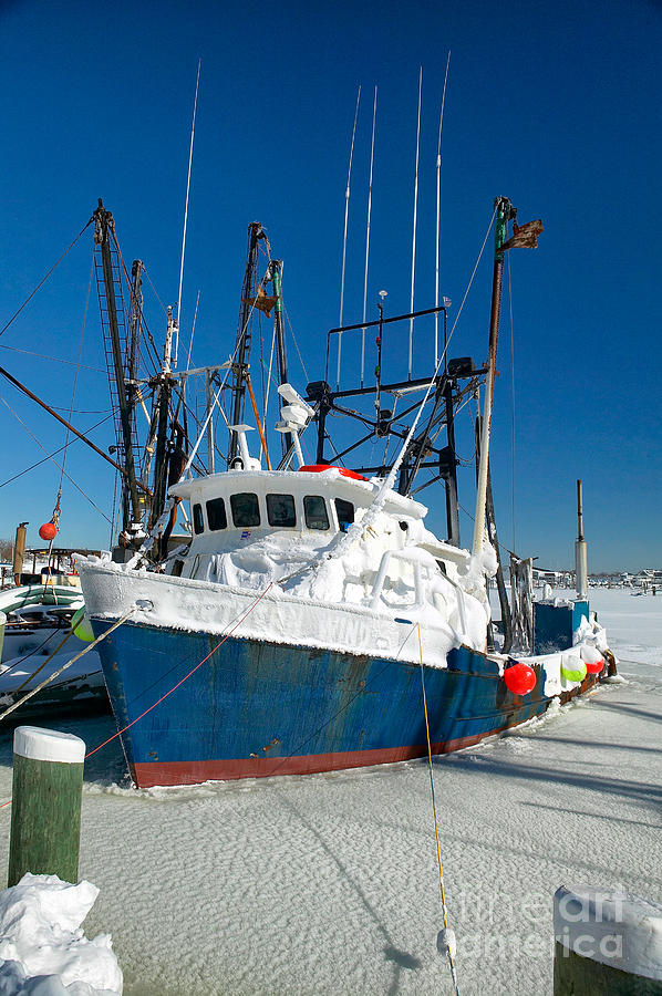 Winter Photograph - Fishing boats in frozen hyannis harbor by Matt Suess