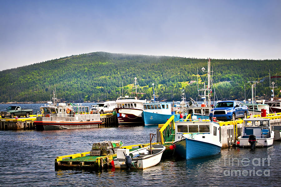 Fishing boats in Newfoundland Photograph by Elena Elisseeva