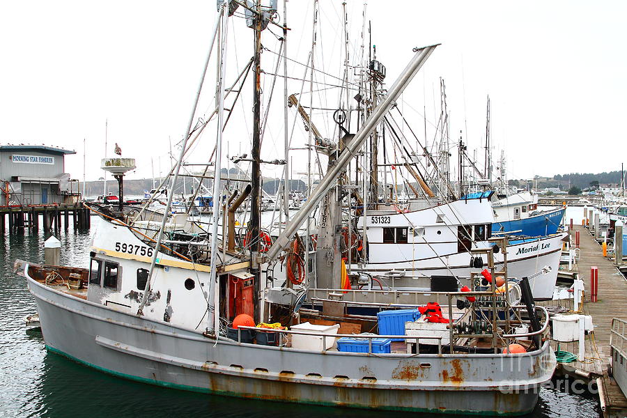 Fishing Boats in Pillar Point Harbor at Half Moon Bay California ...