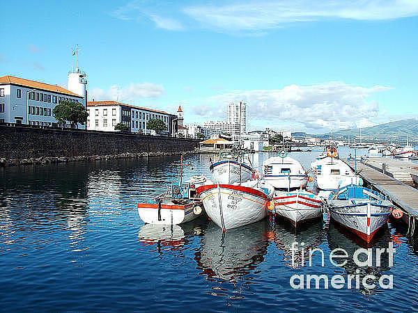 Summer Photograph - Fishing boats in the bay by Gaspar Avila