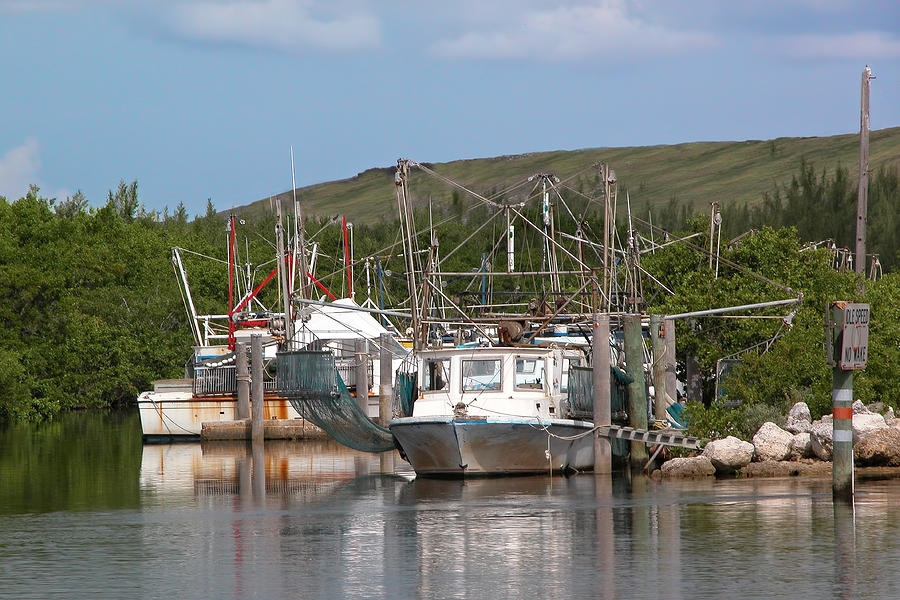 Fishing harbor Photograph by Rudy Umans