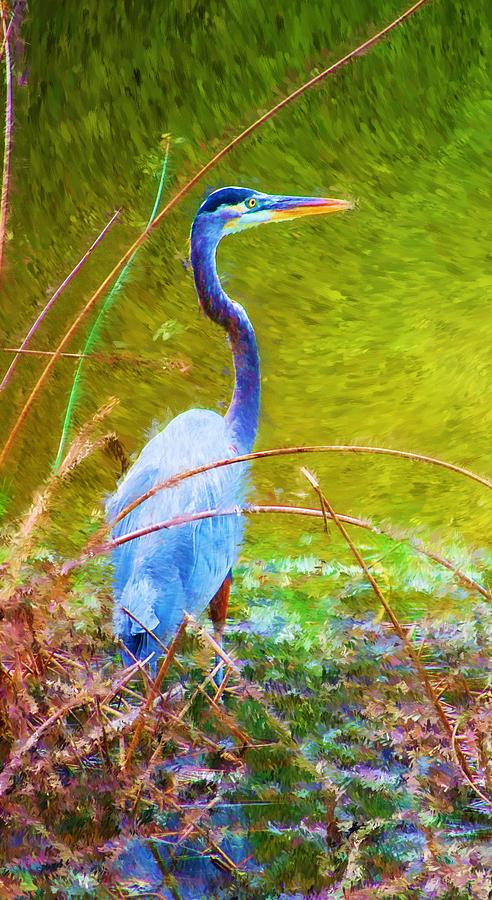 Fishing in the Reeds Digital Art by David Lane
