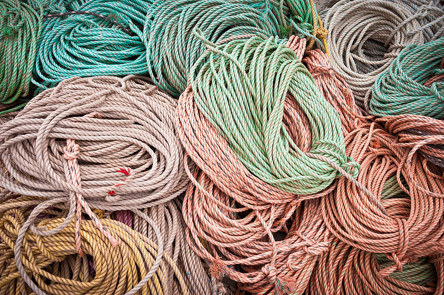  Fishing Lines Photograph by Steve Gadomski