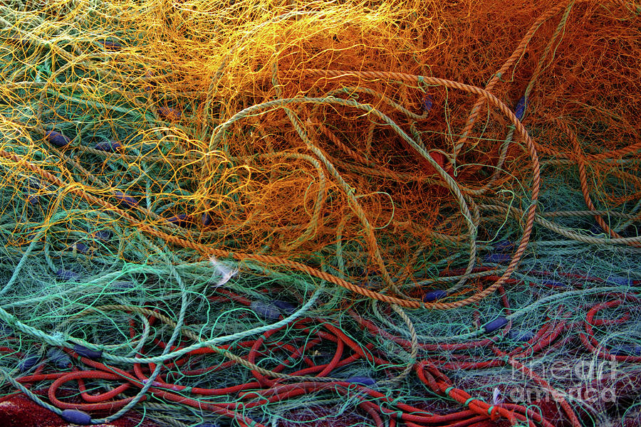 Fishing nets Photograph by Carlos Caetano