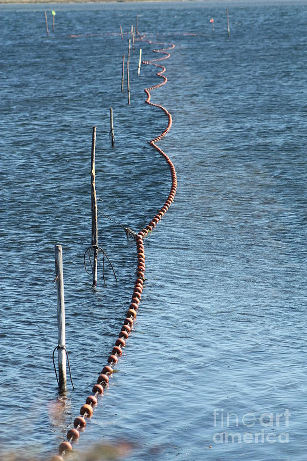 Fishing nets Photograph by Rogerio Mariani