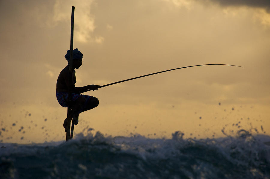 Fishing Photograph by Ng Hock How