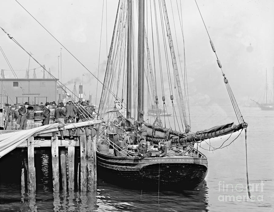 Fishing Schooner at T Wharf in Boston 1905 Photograph by Padre Art