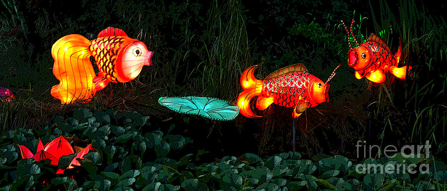 Fishy Lanterns Photograph by Vivian Christopher