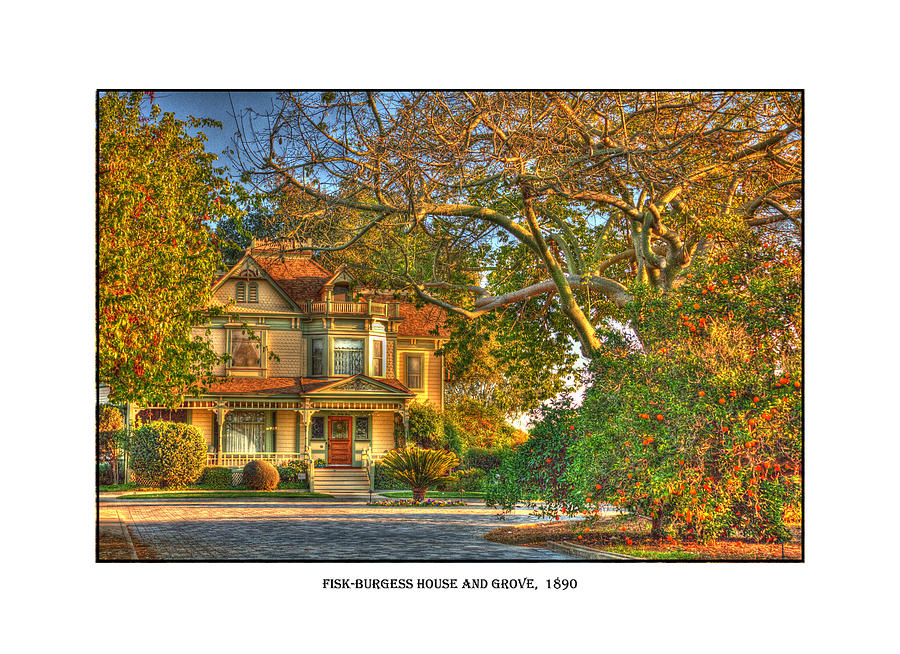 Fisk-Burgess House and Grove Photograph by Dorothy Cunningham