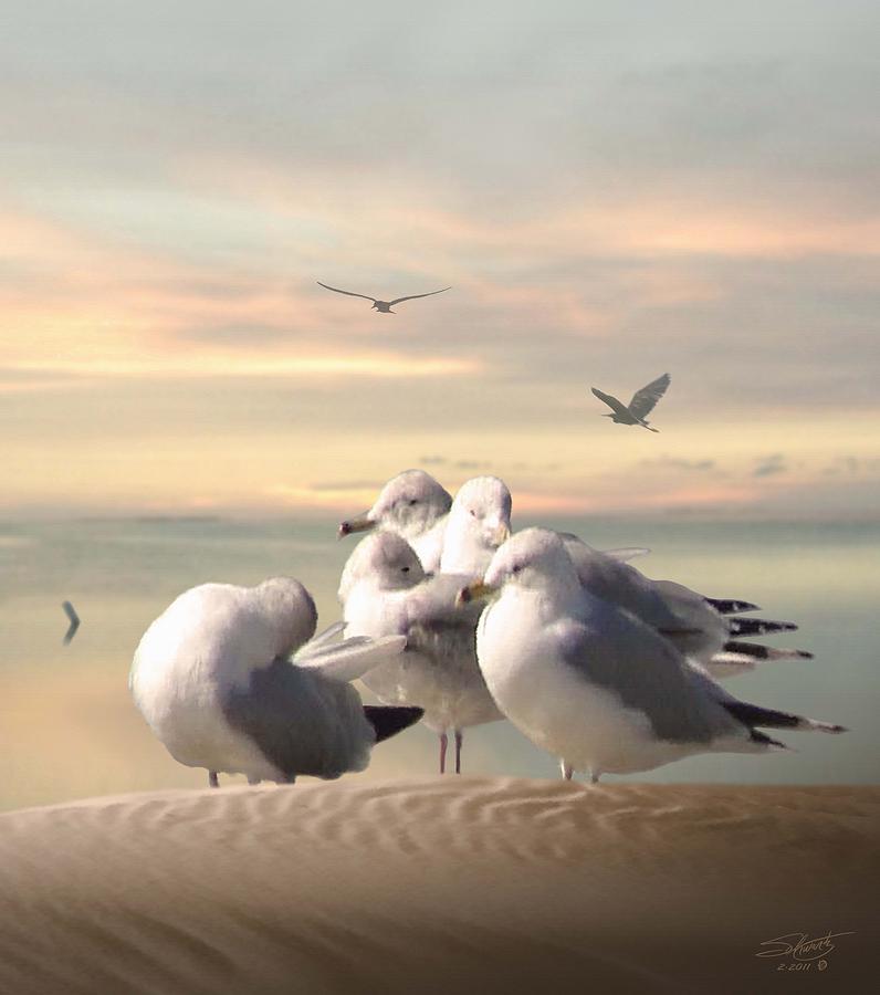 Five Gulls at Sundown Photograph by M Spadecaller