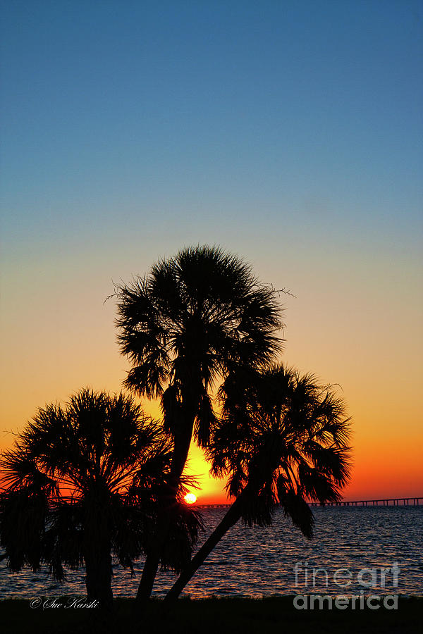 FL Sunrise Photograph by Sue Karski