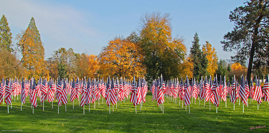 Flags Of Honor Photograph