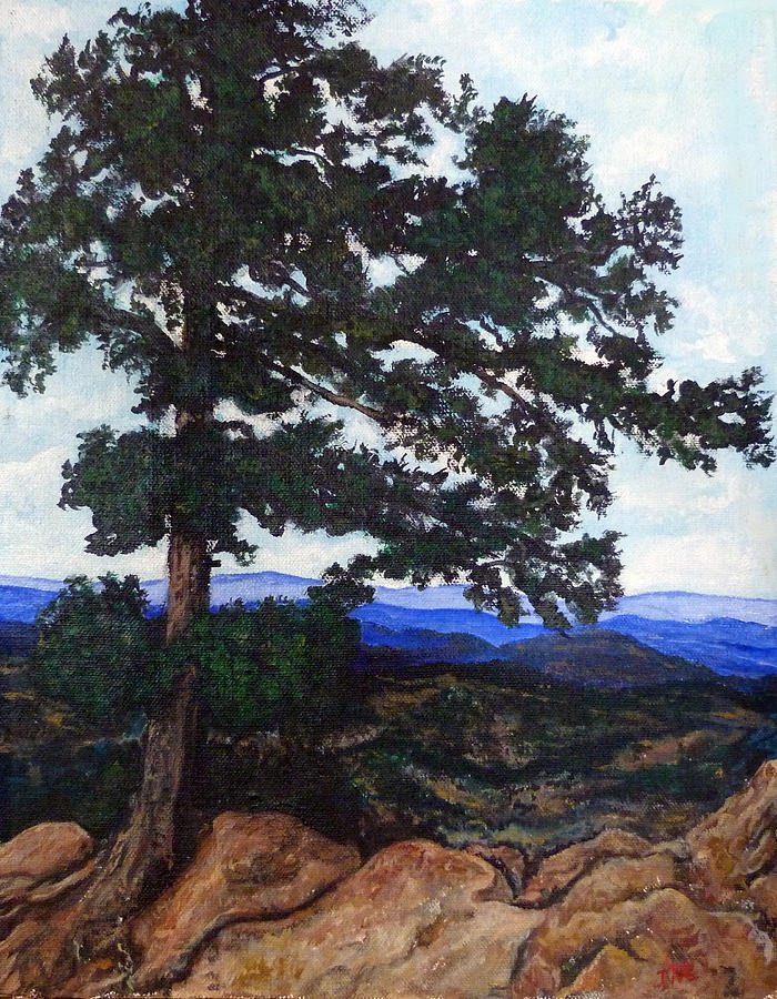 Flagstaff Mountain Painting by Tom Roderick
