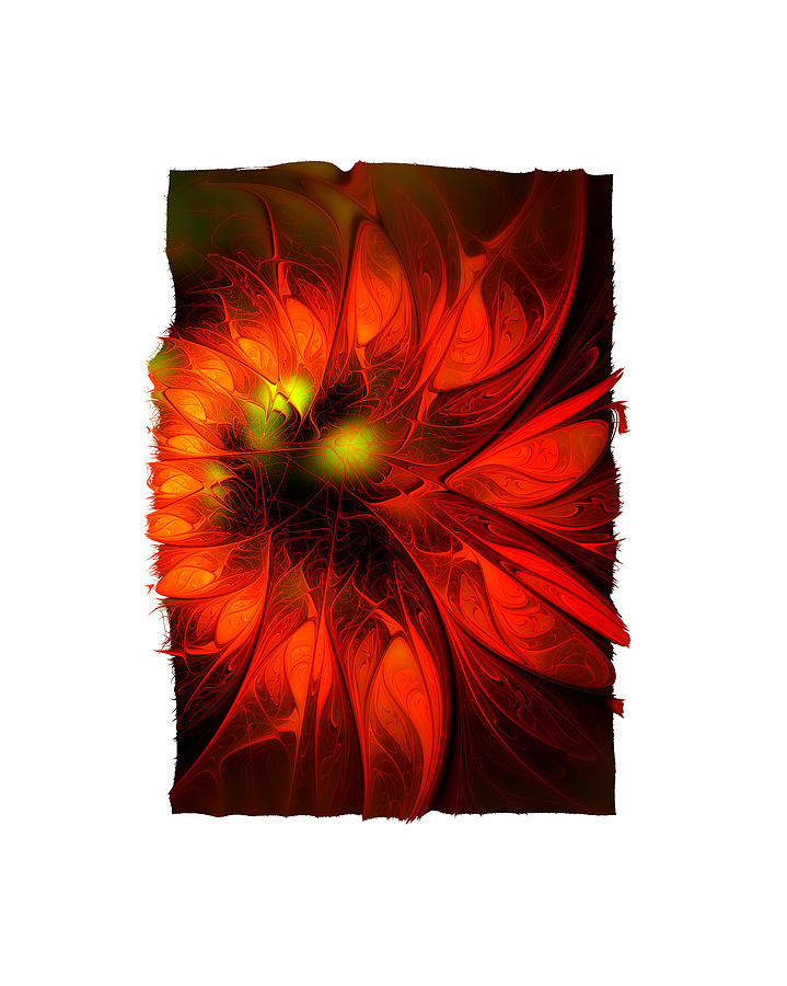 Flame Lily Framed Digital Art by Amanda Moore