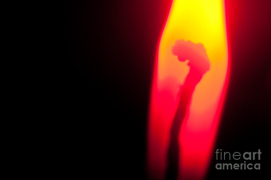 Candle Photograph - Flames by Venura Herath