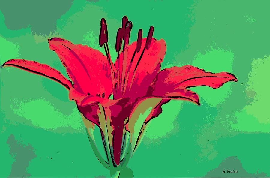 Flaming Bloom Photograph by George Pedro Flaming Bloom Photograph by George Pedro