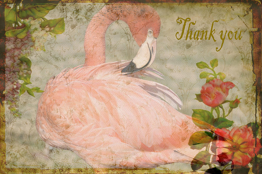 Flamingo And Roses Thank You Photograph by Jan Amiss Photography
