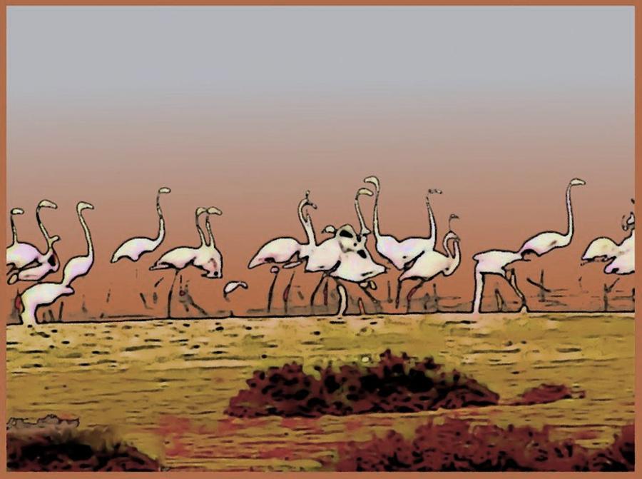 Bird Digital Art - Flamingos by Rod Saavedra-Ferrere