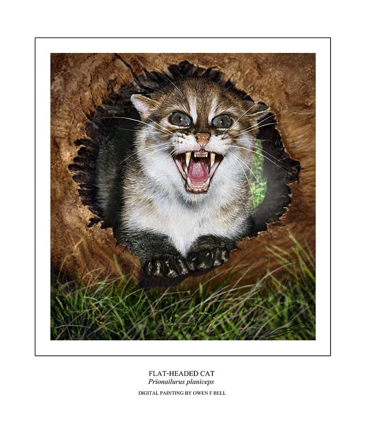 FLAT HEADED CAT Prionailurus planiceps Digital Art by Owen Bell