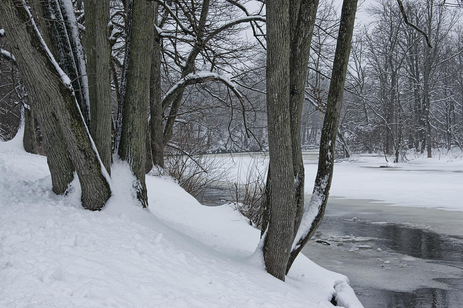 Flat River in Winter No.016 Photograph by Randall Nyhof
