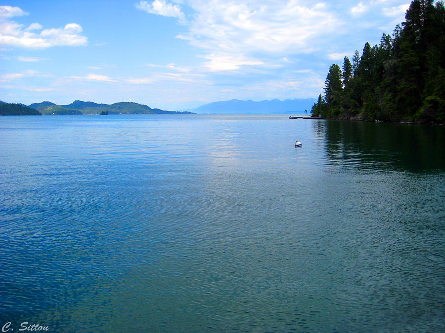 Flathead Lake in July Photograph by C Sitton