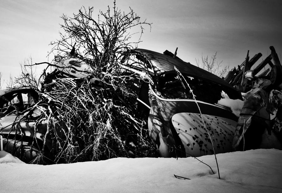 Landscape Photograph - Flee of Debris Two by J C