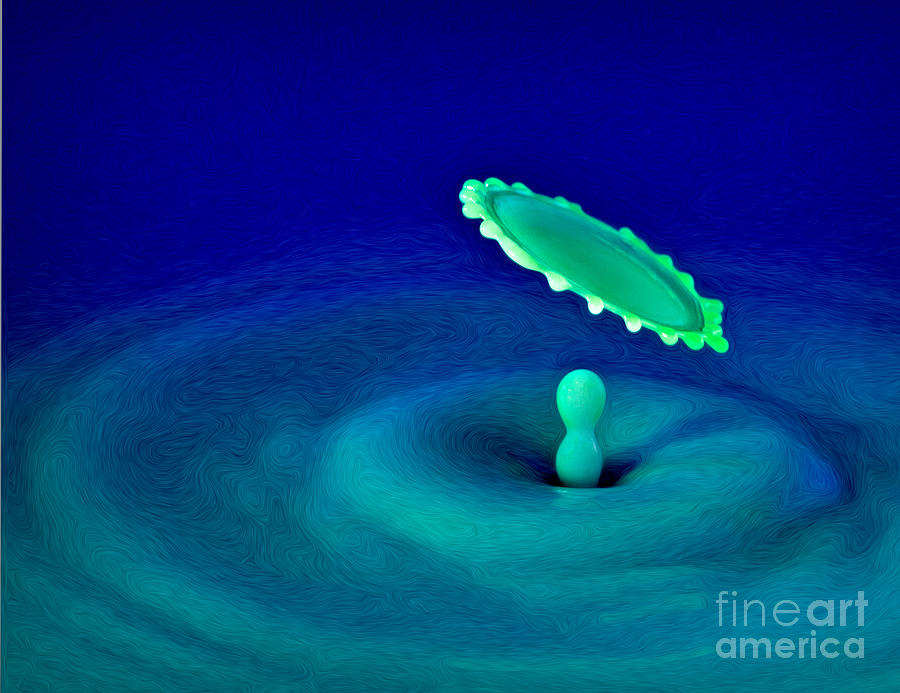 Water Photograph - Floater by Susan Candelario