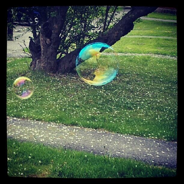 Spring Photograph - Floating Bubbles. #bubbles #floating by Jess Gowan