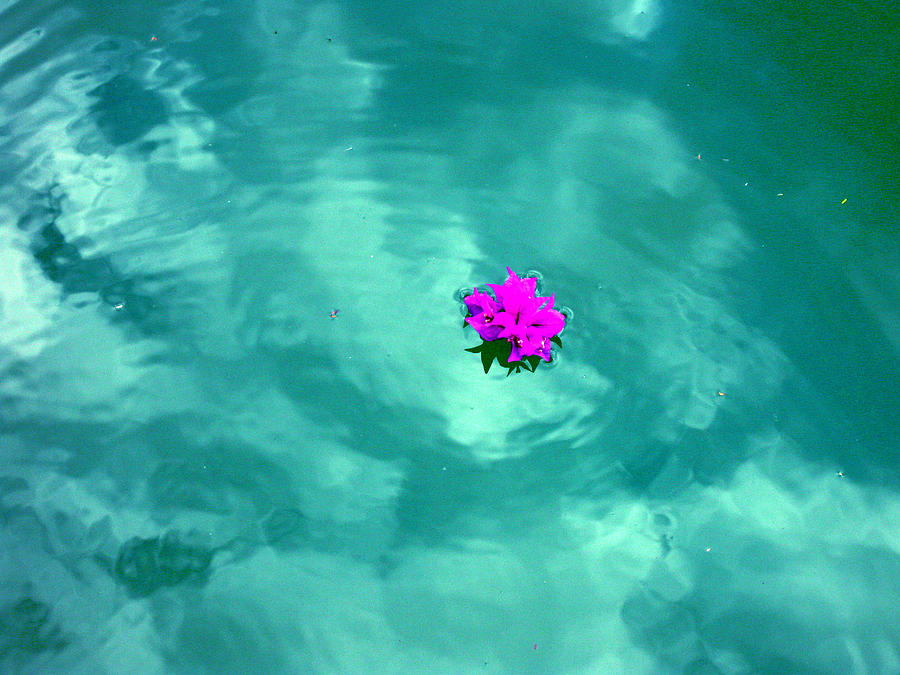 Floating colors Photograph by Sarah Hornsby