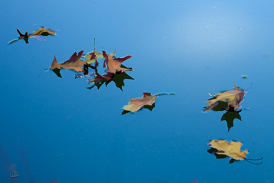 Floating on the sky by Michael Flood Floating on the sky by Michael Flood