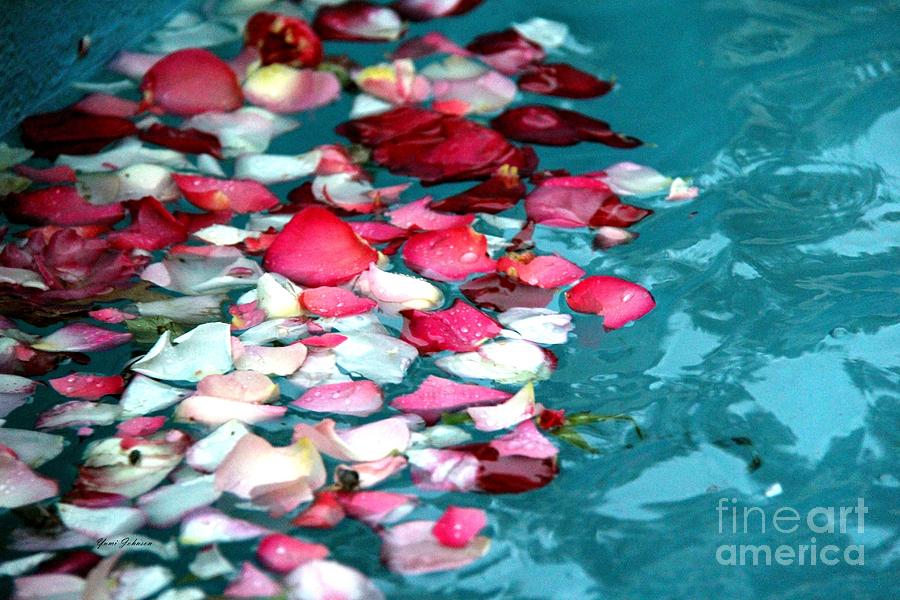 Floating Rose petals Photograph by Yumi Johnson