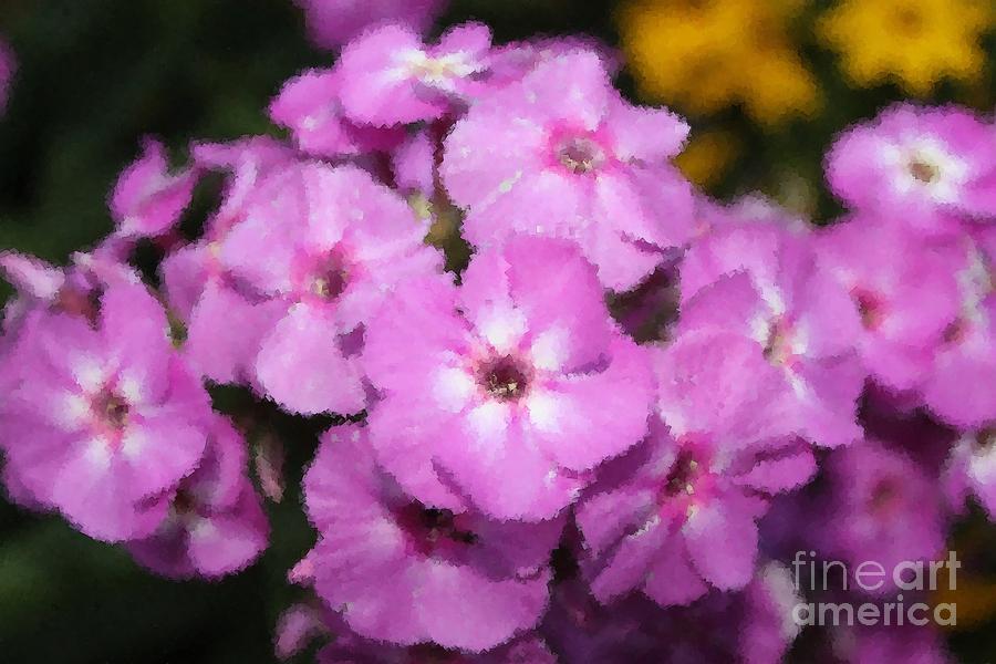 Flocks Photograph by Terri Thompson Fine Art America