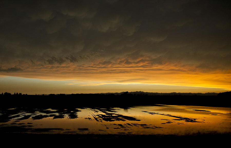 Sunset Photograph - Flooded Field at Sunset by Jennifer Brindley